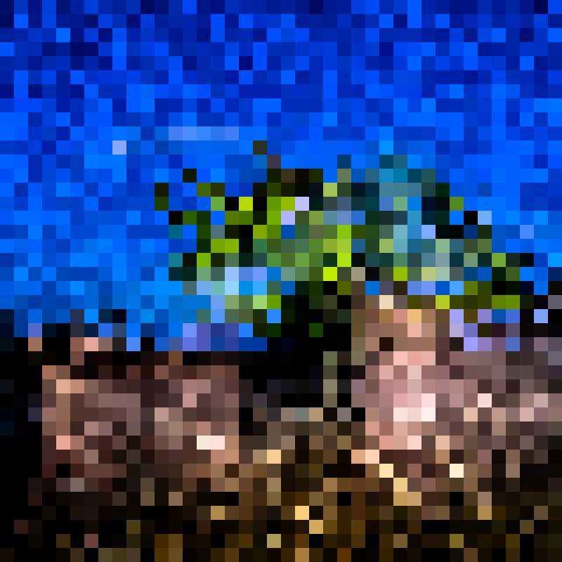 40 x 40 Pixel