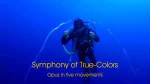 Colors - As Far as the Eye Can See